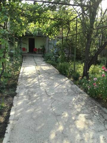 Фотографии Лоджи Green House г. Gurjaani (Грузия) №5 Фото Лоджи Green House г. Gurjaani 5